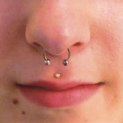 Septum